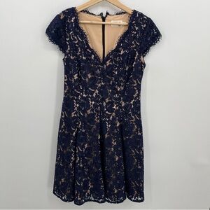 Eliza J Blue Black Lace Fit & Flare Dress